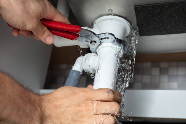 Best Mold removal after water damage  in Chippewa Falls, WI