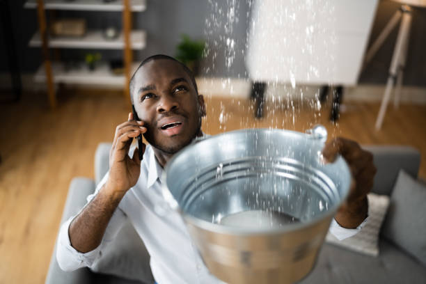 Best Basement water damage restoration  in Chippewa Falls, WI