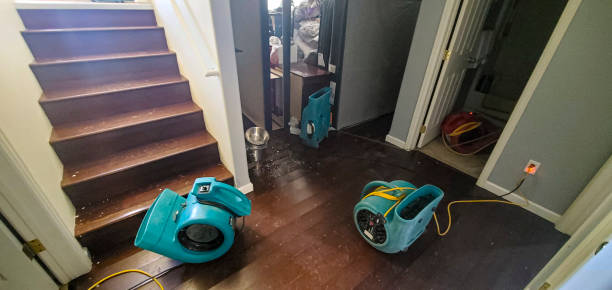 Best Sewage cleanup and water damage restoration  in Chippewa Falls, WI