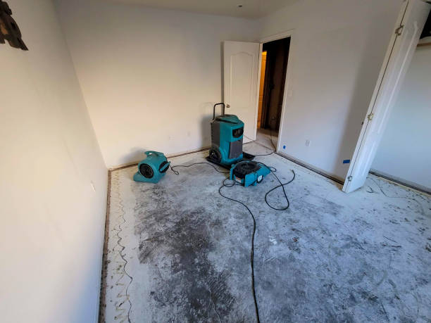 Best Professional water damage repair  in Chippewa Falls, WI