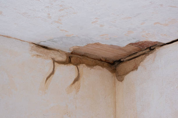 Best Commercial water damage restoration  in Chippewa Falls, WI