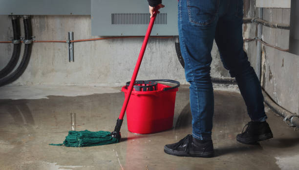 Best Carpet water damage restoration  in Chippewa Falls, WI