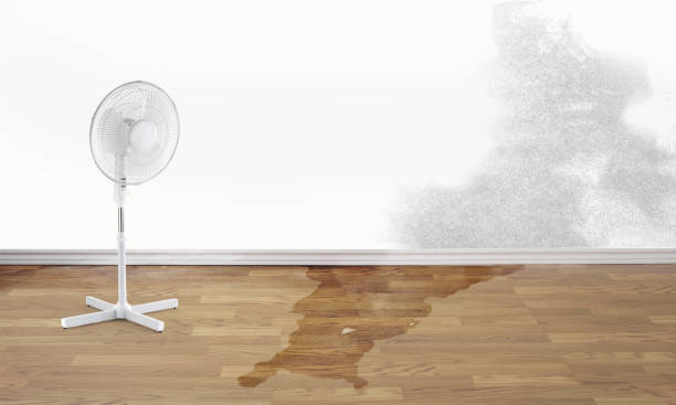 Professional Water damage restoration in Chippewa Falls, WI
