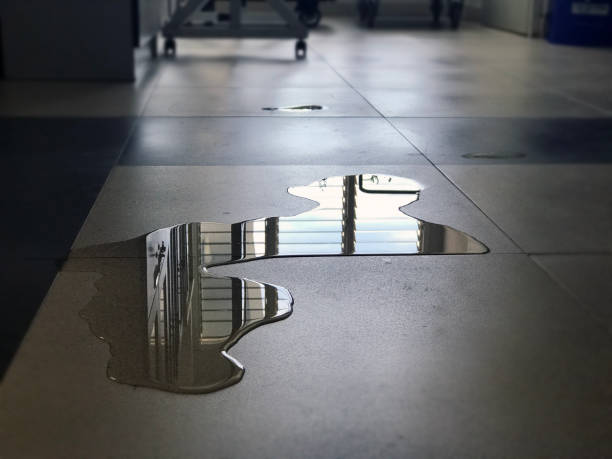 Best Water damage cleanup near me  in Chippewa Falls, WI