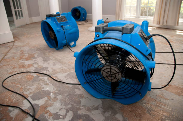 Carpet water damage restoration in Chippewa Falls, WI