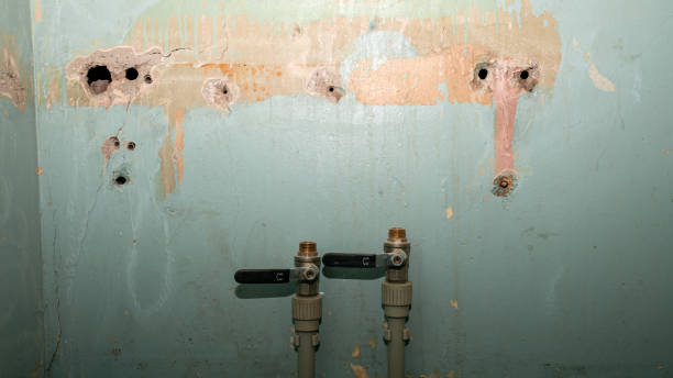Best Local water damage restoration  in Chippewa Falls, WI