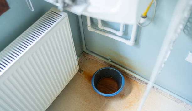 Best Carpet water damage restoration  in Chippewa Falls, WI