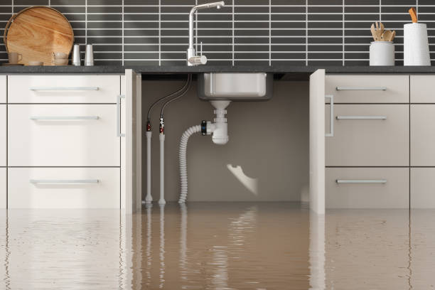 Best Water damage restoration company  in Chippewa Falls, WI