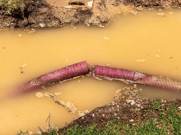 Best Basement water damage restoration  in Chippewa Falls, WI