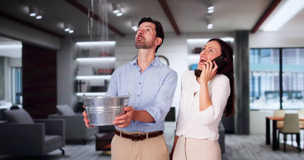 Best Flooded house restoration  in Chippewa Falls, WI