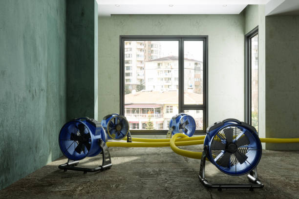Best Water damage restoration near me  in Chippewa Falls, WI